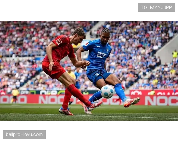 德甲夏窗盘点：多队阵容焕然一新，蓄势迎战新赛季