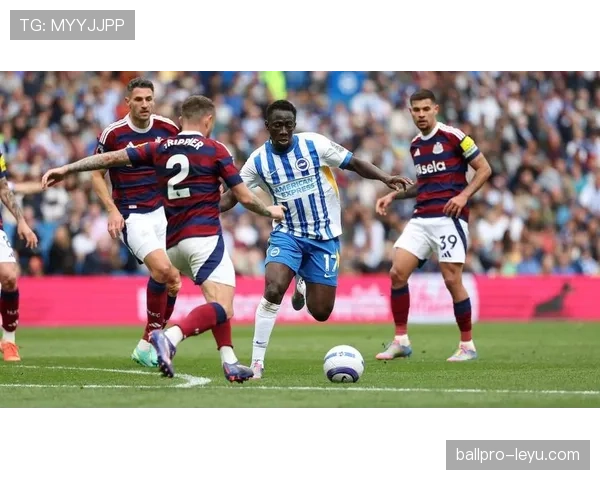 布莱顿状态火热，强势冲击欧战资格